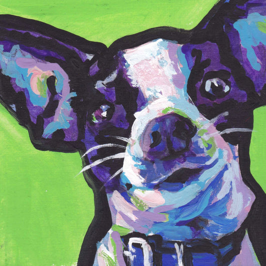 Chihuahua portrait modern Dog print of pop dog art painting bright colors 12x12"