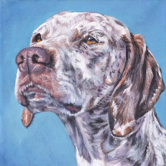 Braque du Bourbonnais dog portrait art CANVAS print of LAShepard painting 8x8" French Pointer