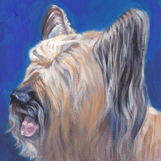 Skye Terrier dog art portrait CANVAS print by L.A.Shepard painting 8x8