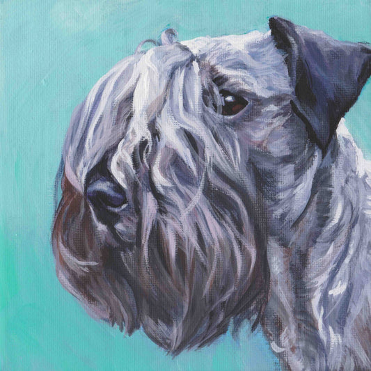 Cesky Terrier dog art portrait print of LA Shepard painting 8x8"